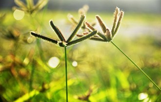 3889496500_43c9344b44