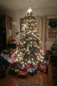 10553833_10154419045254307_1138106686227162752_o