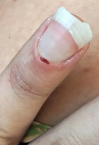 2016-02-09 16.33.54-1